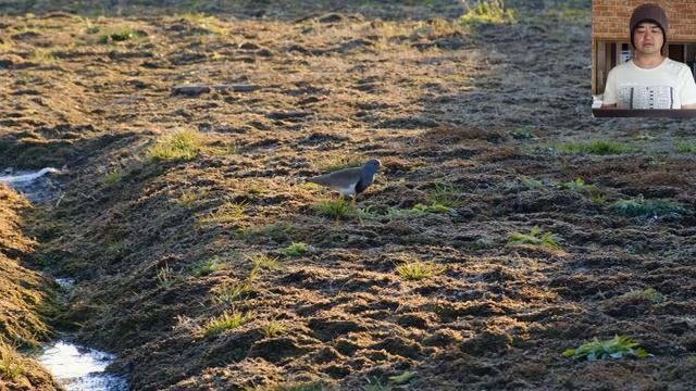 理想的な小ささの超望遠ズームレンズ登場！ FUJIFILM XF70-300mmF4-5.6 R LM OIS WR これはすごい望遠ズームが出てきたな（35mm判 換算 107mm-457mm）