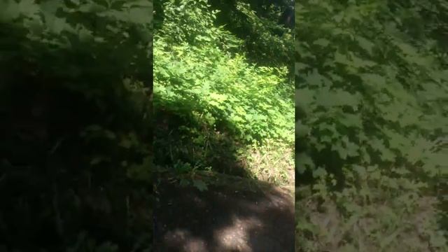 Иду на откос// наш город