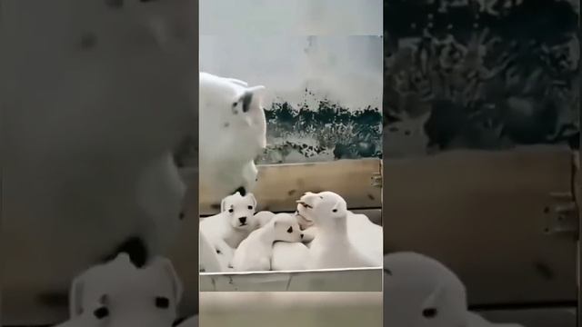 Приколы №1