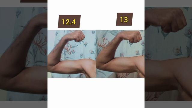 12 inch biceps vs 13 inch biceps