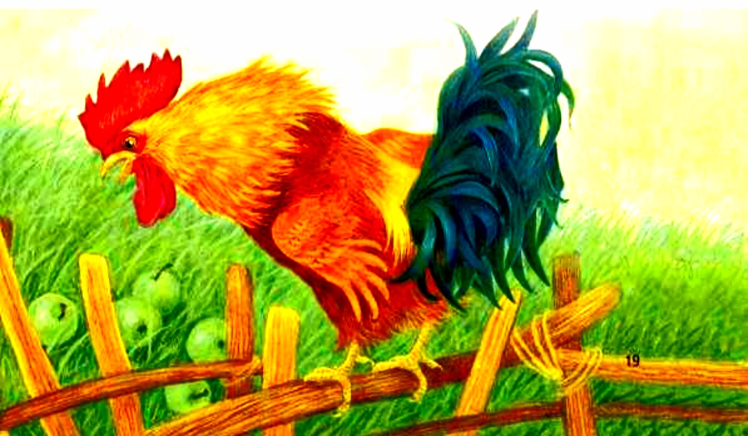 "ПЕТУШОК И ЧУДО-МЕЛЕНКА"????. Читаем сказку на ночь.Сборник " СКАЗКИ ДЛЯ САМЫХ МАЛЕНЬКИХ"