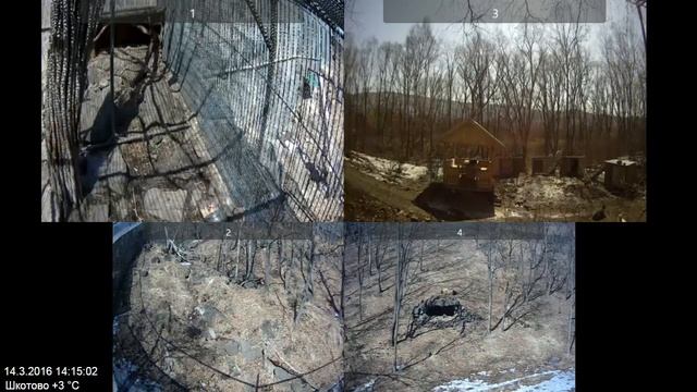 Архив веб-камер в Парке Амура и Тимура за 14.03.2016