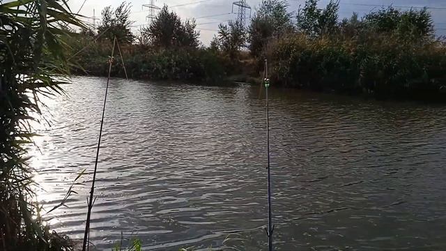 По утряне на реку Аксай 27. 08. 22