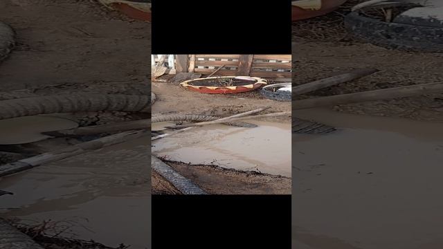 Бурим скважину в Павлоградском районе