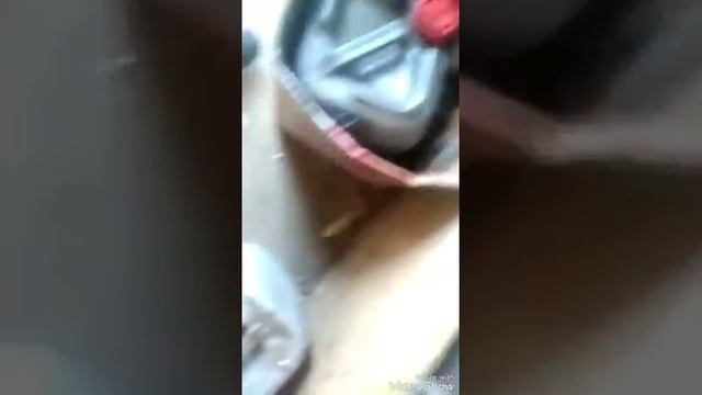 почти вся правда о моём бычке.