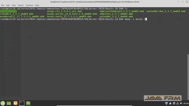 How to install SQL Server 2019 on Linux Mint 19 and connect from SQL Server Management studio
