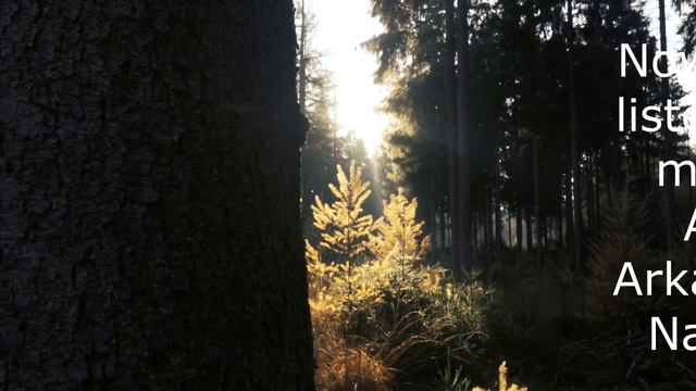 Сольный мини-концерт "Шуман и Наседкин". Солист Антон Хазипов - фортепиано.