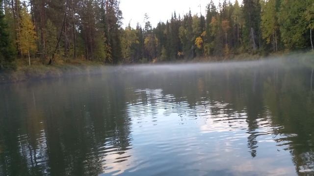 20230908_160813_001.mp4