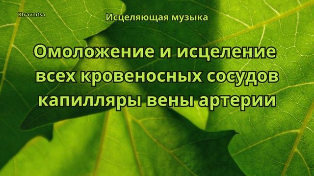 Омоложение и исцеление всех кровеносных сосудов капилляры вены артерии.