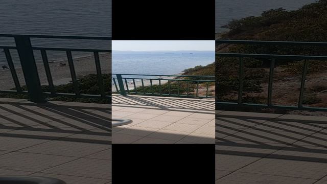 1000191756.mp4