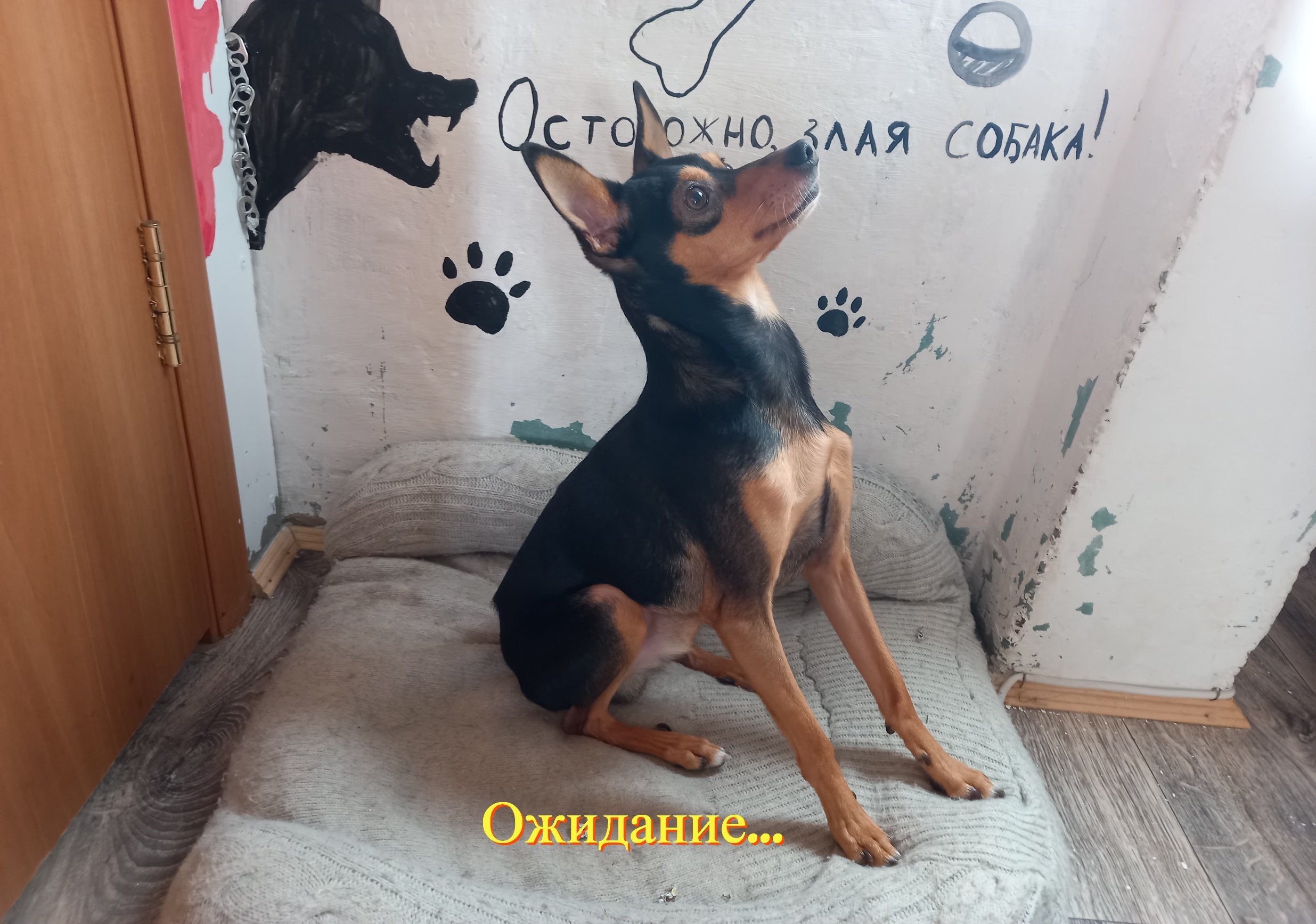 Ожидание vs. Реальность