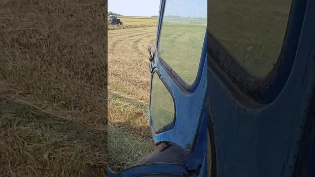 грабли сибдорсельмаш гв-6у