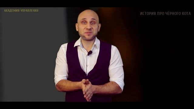 Чёрная кошка или Сила запрограммированности человека