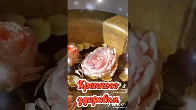 горный лес