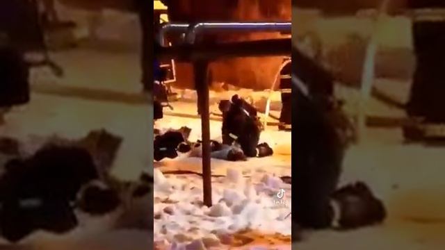 Как спасти человека... Искусственное дыхание онлайн!!! И массаж сердца... Ты только дыши...