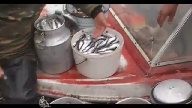 Якутский тугунок