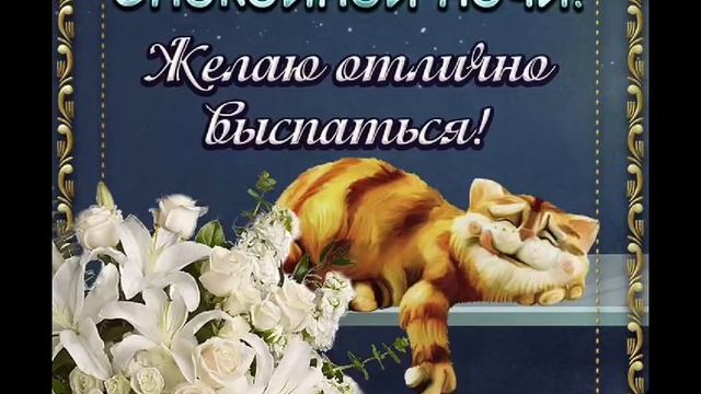 Доброй ночи!