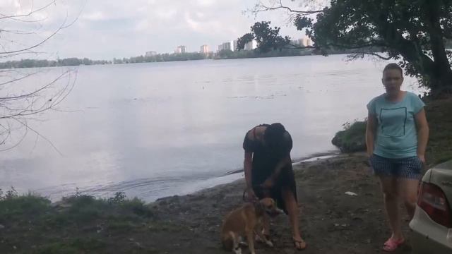 ДОРА. Конец июня. Многое сделано, но предстоит сделать ещё больше.💕