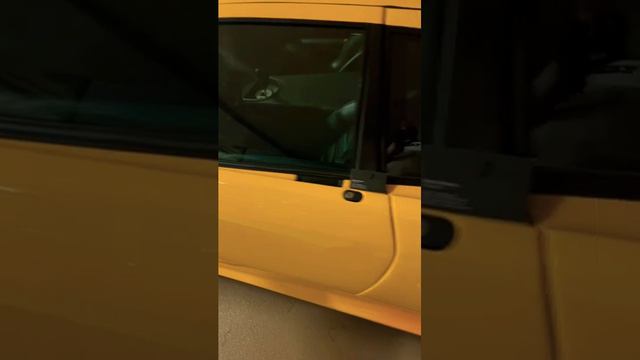 MONACO. Lamborghini Diablo, Ferrari и гравировка на стекле в качестве защиты от угона.