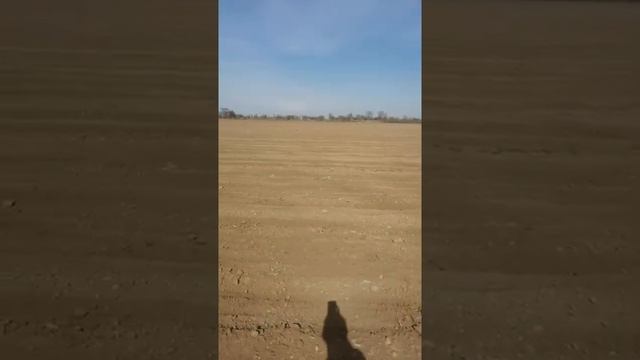 Подготовка почвы под люцерну джея