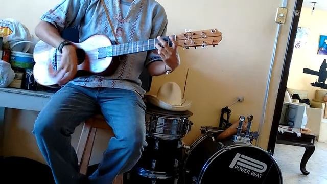 ¿Cómo Tocar Jarana? - Son Jarocho - Los Enanitos