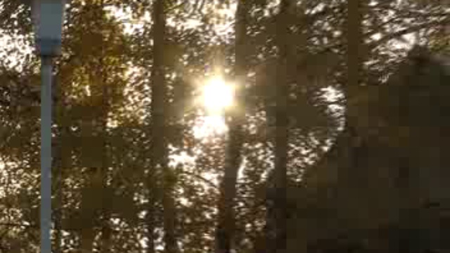 Коллаж: выпуск 28-09-12