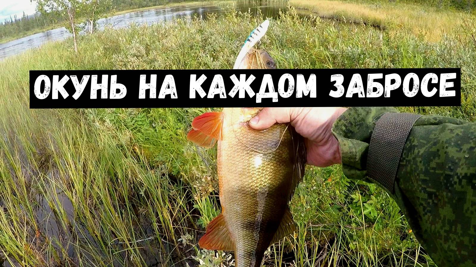 ОКУНЬ НА КАЖДОМ ЗАБРОСЕ! ДАВНО ТАК НЕ РЫБАЧИЛИ! ДВУХДНЕВНАЯ РЫБАЛКА.