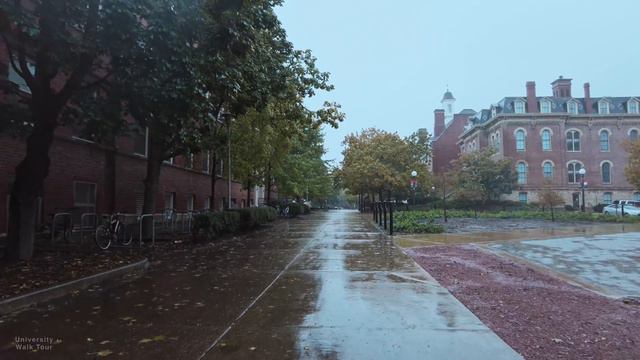 University of Illinois Urbana-Champaign UIUC - Virtual Walking Tour 4k 60fps