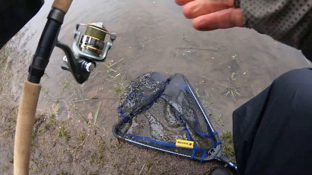 GULP Trout Powerbait Trout Fishing Tips & Review (DOES IT CATCH 55% MORE TROUT???)