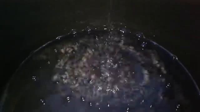 Звук - сбор талой воды для полива комнатных растений и рассады:)