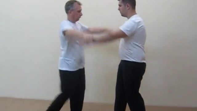 парное исполнение формы пяти зверей вин чун