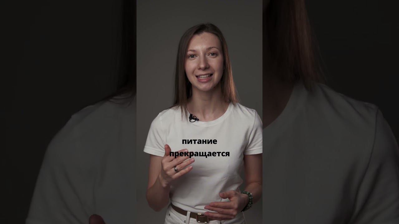 Здоровый позвоночник