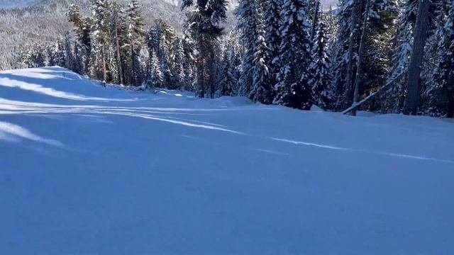 Горнолыжка на Телецком озере январь 2022 г.