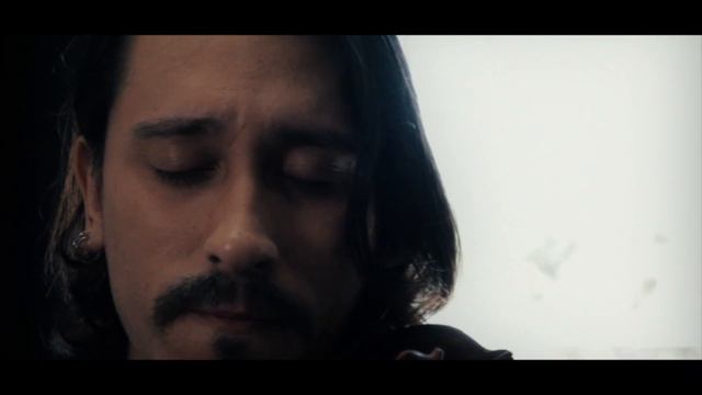 The Swan - Violin in social isolation