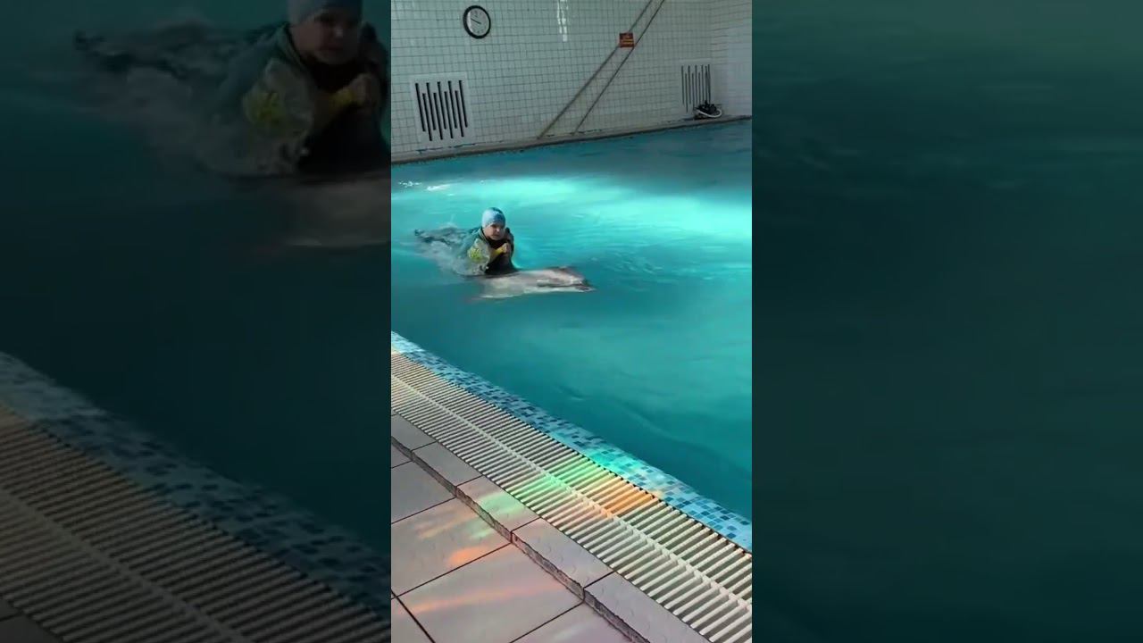 Плавание с дельфином