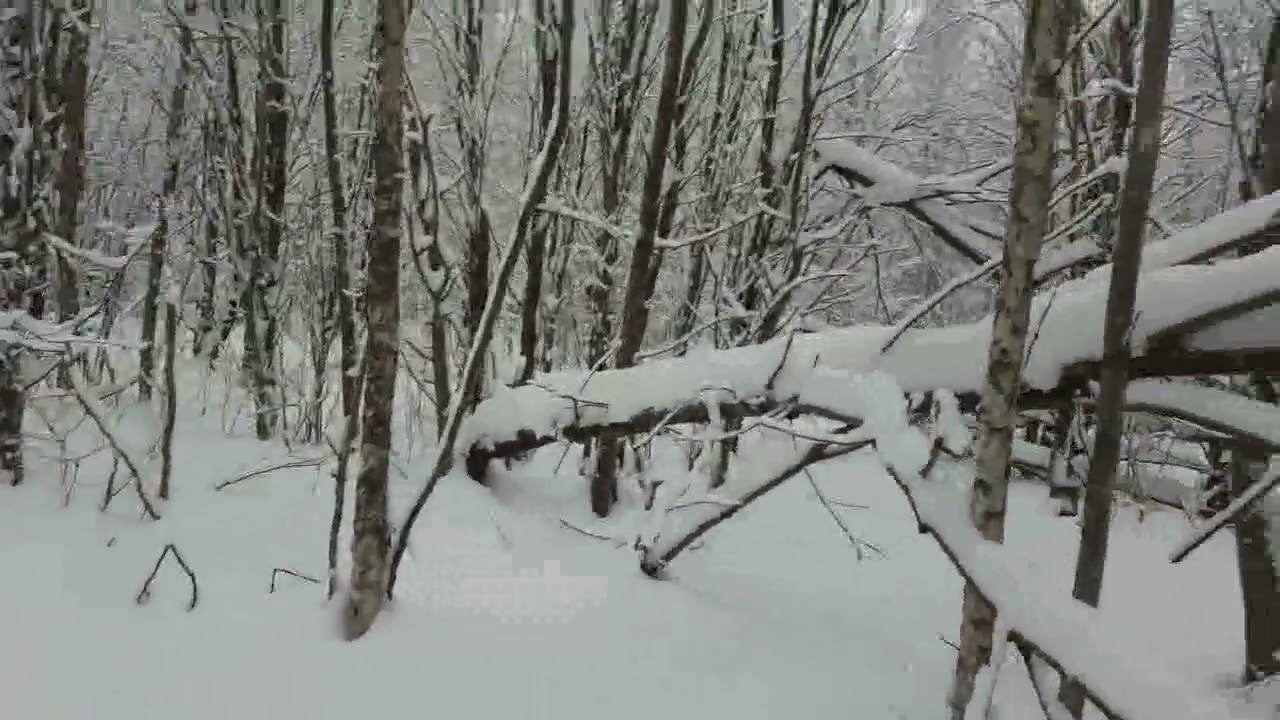 Закрытие сезона.