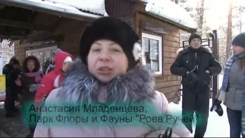 Повесь кормушку, порадуй зверушку!