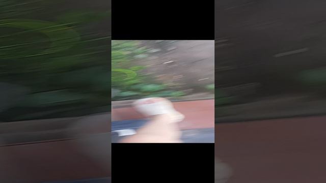 1000007388.mp4v