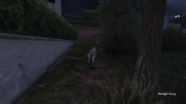 Играем за животных в GTA 5 | БЕЗБАШЕННАЯ ПСИНА ▷ #4
