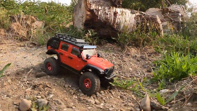 DIRT Cheap MINI RC CRAWLER Is JUST GREAT!! 🤯 The NEW Wltoys 2428 is a STEAL of a DEAL!!