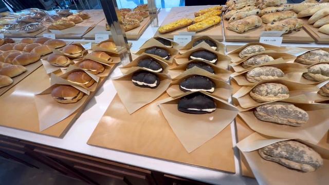 LIFE IN KOREA 🇰🇷 My Dog's Emergency Surgery 🏥🐶 Weekly Grocery Shopping 🛒 Korean Bakery Cafe 🥐