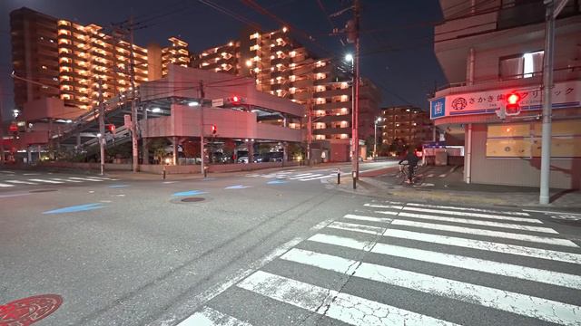 Night sakura walk at Kawasaki Shukugawara