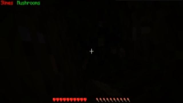 Minecraft What's my light level? Mod