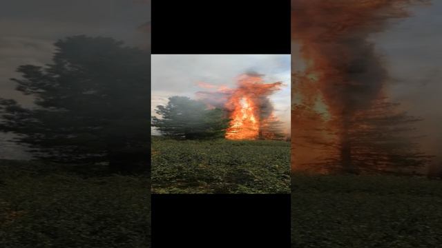 Лесной пожар.