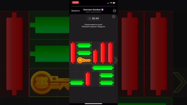 08-09.08.24  мини игра Hamster Kombat #хомяки