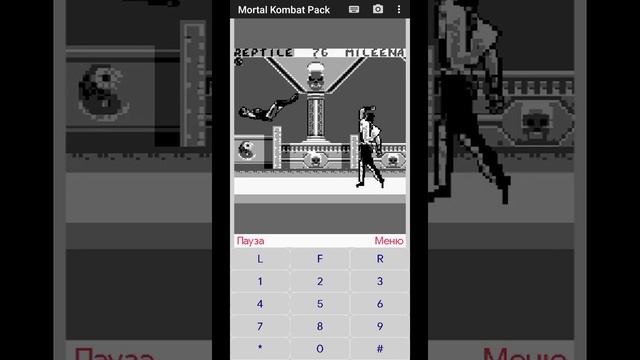 Reptile - Mortal Kombat 2 (Game Boy) (Java)