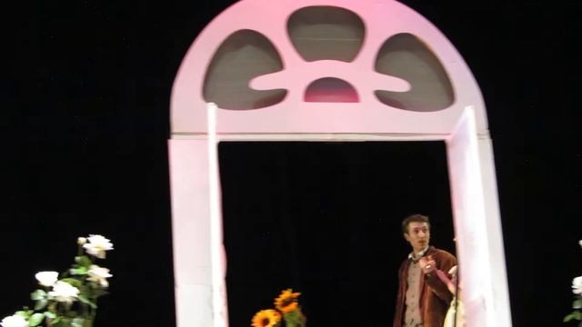 5 фрагм. Водевиль "Говорящий немой"