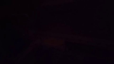 Модель нарцисса " бабка с корытом из Золотой Рыбки." Легко вычислить.