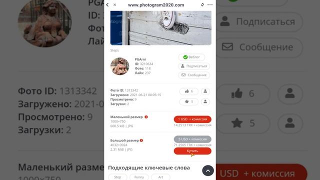 Как совершать покупки через кошелёк TronLink на платформе Photogram на мобильном устройстве RU