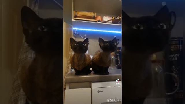 1000297314.mp4